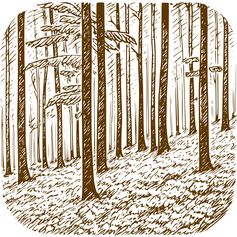 Beskydy a Beeskyd - je to onás