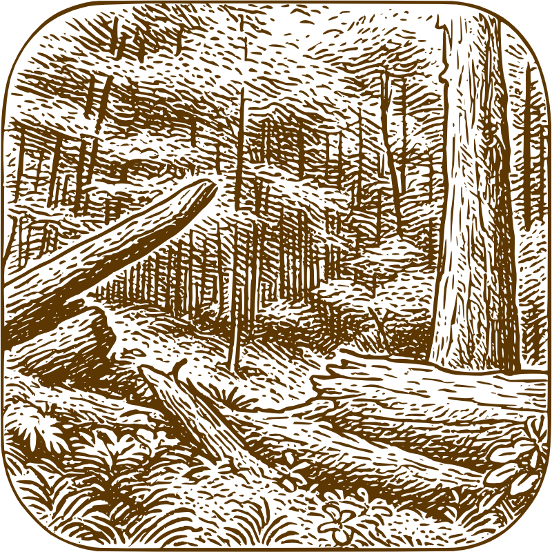 Beskydy a Beeskyd - je to onás